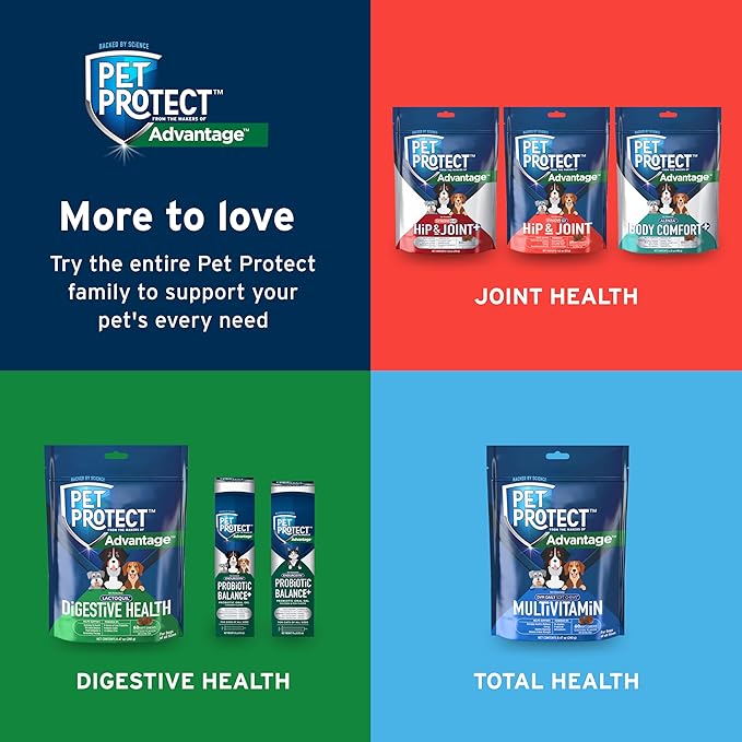 Pet Protect Digestive Health Supplement with Probiotics for Dogs, Vet-Formulated Lactoquil, Chicken-Flavored Soft Chews (60 Count)
