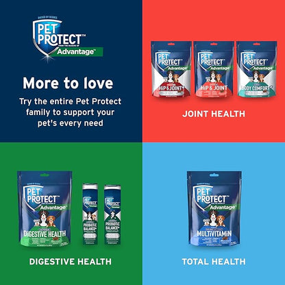 Pet Protect Digestive Health Supplement with Probiotics for Dogs, Vet-Formulated Lactoquil, Chicken-Flavored Soft Chews (60 Count)
