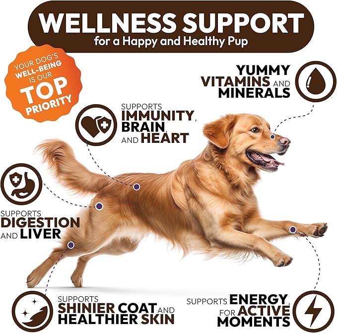 (2 Pack) Turkey Tail Mushroom for Dogs - 340 Chews - Lion’s Mane - Shiitake - Reishi - Buddy Immune Support Guard - Mushroom Supplement for Dogs with Glucosamine, Health Vitamins Multivitamin