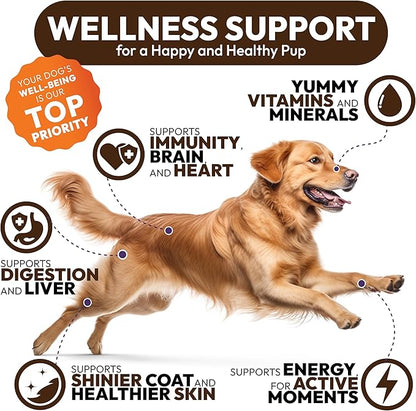 (2 Pack) Turkey Tail Mushroom for Dogs - 340 Chews - Lion’s Mane - Shiitake - Reishi - Buddy Immune Support Guard - Mushroom Supplement for Dogs with Glucosamine, Health Vitamins Multivitamin