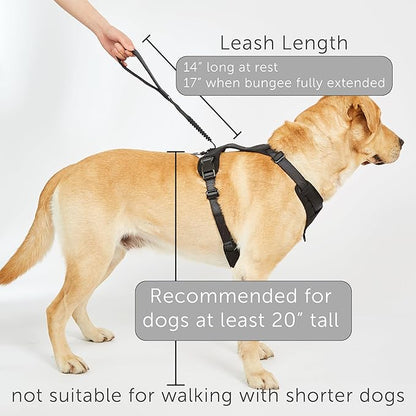 TUG Grab Dog Harness | Integrated Traffic Leash Magnetically Attached for Quick Control (Medium/Green)