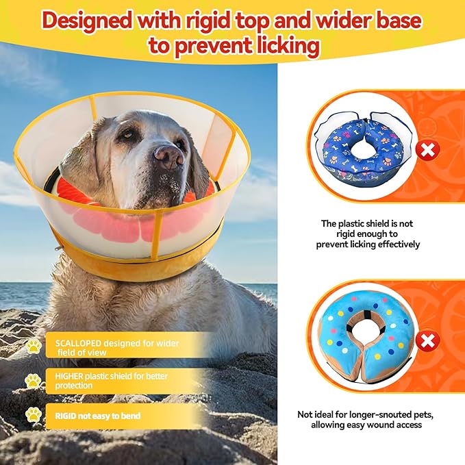 Upgraded Inflatable Dog Cone Collar with Transparent Anti-Licking Shield, Adjustable Elizabethan Collar for Medium Large Dogs, 2-in-1 Design with Detachable Shield and Soft Padding (L, Grapefruit)