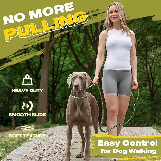 Fida Durable Slip Lead Dog Leash, 6 FT x 3/8" Heavy Duty Dog Loop Leash, Comfortable Strong Rope Slip Leash for Small Dogs and Puppies, No Pull Pet Training Leash with Highly Reflective(3/8", Green)