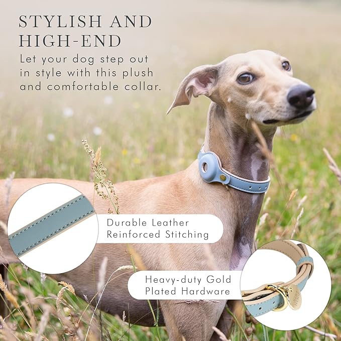 NINA WOOF Cupertino Dog Collars, Harnesses & Leashes Made from Vegan Leather with Dog Tracker Device Holder Adjustable Dog Collar (Extra Small, Blue)