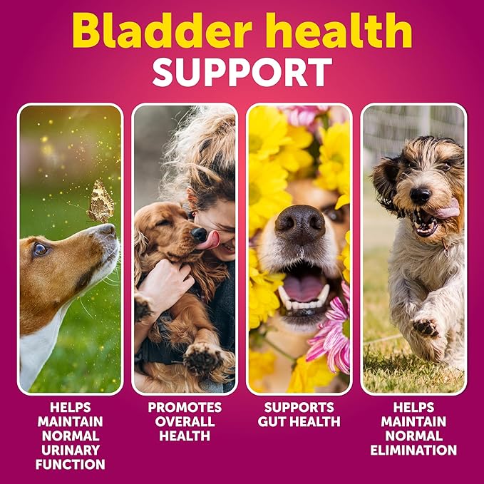 Dog UT Treats - Cranberry Chews for Dogs - Urinary Tract & Bladder Support Supplement with Natural Cranberry Extract - Tasty 70 Soft Bites for Daily Wellness with Fish Oil, Pumpkin, D-Mannose