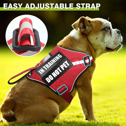 Service Dog Harness and Leash Set, Training Dog Vest with 10 Dog Patches, Emotional Support Therapy Dog Vest Harness for Small Medium Large and Extra Large Dogs(Red, L)