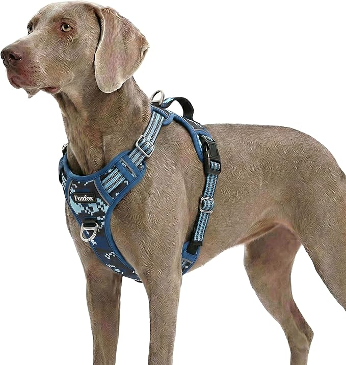 Funfox Dog Harness No Pull, Adjustable Pet Vest Harness, Super Soft Material with Vertical Handle Easy Control, Reflective Night Walking, 2 Leash Clips for XLarge Dogs, Mosaic Blue, XL