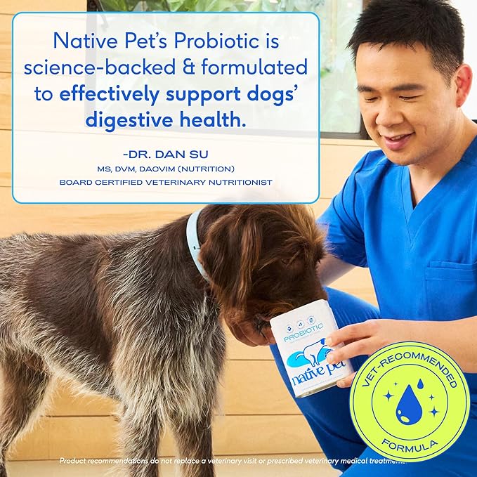 Native Pet Probiotics for Dogs – Dog Probiotic Powder for Gut & Digestive Health, Vet-Formulated 6B CFUs Dog-Specific Probiotic Strains, Supports Stool Quality & Diet Transitions – 120 Scoops
