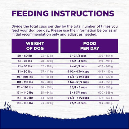 Wellness Complete Health Large Breed Adult Dry Dog Food, Wholesome Grain Kibble, Natural, Chicken and Brown Rice Recipe, 15 lb Bag