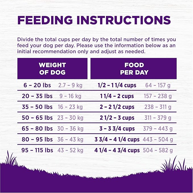 Wellness Complete Health Dry Dog Food, Wholesome Grains, Natural, Whitefish & Sweet Potato Recipe, (30-Pound Bag)