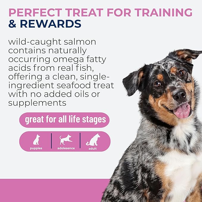Momentum Carnivore Nutrition Freeze-Dried Wild-Caught Salmon Dog Treats & Cat Treats – Single-Ingredient, High-Protein, Grain-Free, Natural Source of Omega-3s – Made in USA – 3 oz Bag