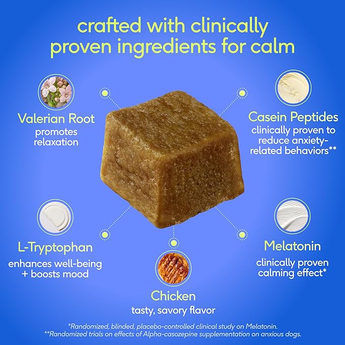 Native Pet Advanced Calming Chews for Dogs Medium Breed - Anxiety Relief, Stress, Separation & Sleep Support with Melatonin for Dogs, Hydrolyzed Casein, Valerian Root & L-Tryptophan - 30 Days Supply