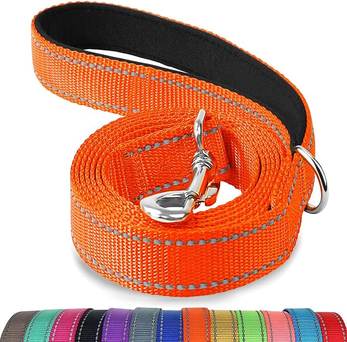 Joytale Dog Leash, 6 FT Double-Sided Reflective, Padded Handle Nylon Heavy Duty Leashes for Medium & Large Dogs Walking, Orange