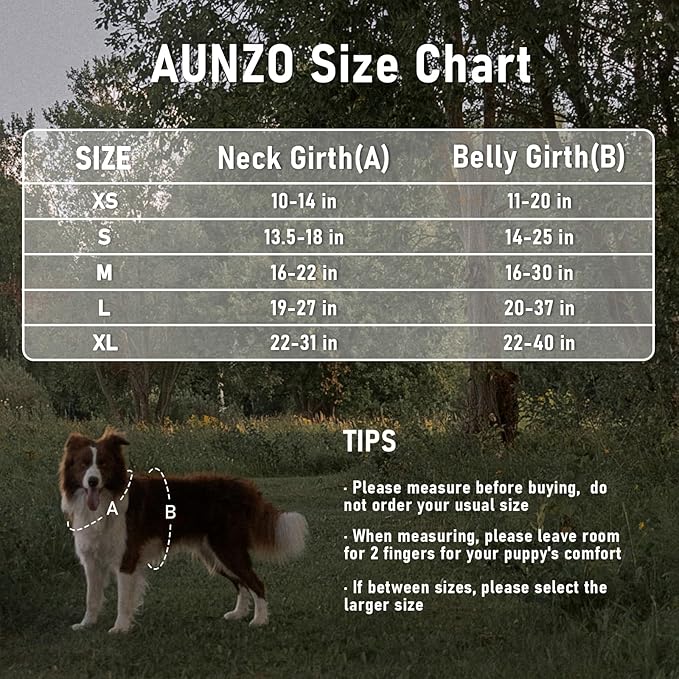 XSmall No Pull Dog Harness for Small Sized Dogs, Adjustable Vest for Easy Walking, Breathable Oxford Material, Reflective Strips, with Metal Front Clip Control, for Terriers, Army Green, XS