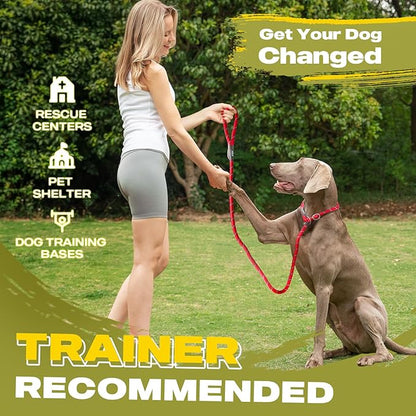 Fida Durable Slip Lead Bulk Pack of 5, Heavy Duty 1/2" x 6 FT Comfortable Strong Rope Slip Lead for Large, Medium & Small Dogs No Pulling Pet Training Leash with Highly Reflective Red