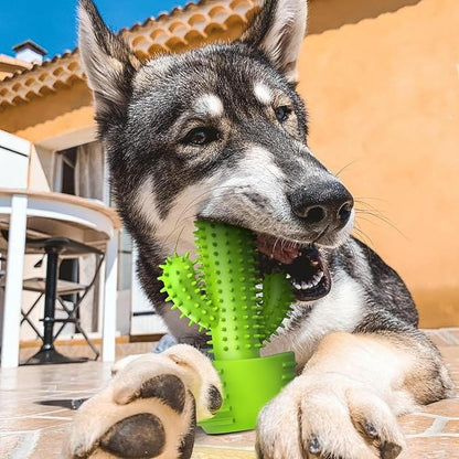 Pamlulu Dog Chew Toys, Toothbrush Stick Teeth Cleaning Brush Dental for Small Medium Large Dog, Rubber Squeaky Toys for Aggressive Chewers Cactus Tough Toys