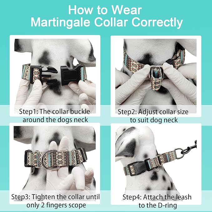 Martingale Dog Collar with Buckle Tribal Design Adjustable Escape Proof Pet Collars (Aztec, Small)