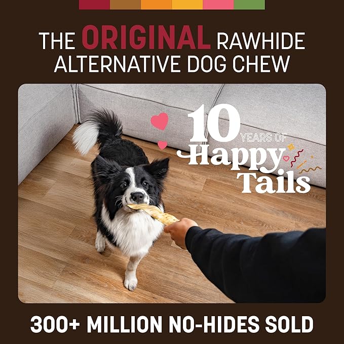 Earth Animal No Hide Strips - Natural Rawhide Free Dog Chew Strips, Beef - 4 Count