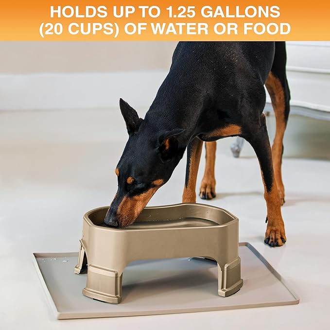 Neater Pet Brands Extra Large Water Bowl for Dogs, Elevated Outdoor Dog Water Bowl (1.25 Gallon XL Capacity), Big Trough Style Food Dish for Indoors or Outside, No Spill Large Dog Bowls, Champagne