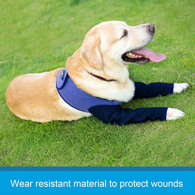 Coodeo Dog Recovery Sleeves, Cone Collar Alternative, Abrasion Resistant Dog Recovery Suit, Washable 2.5mm Thick and Waterproof, Pet Wounds Prevent Licking, Biting (Purple, L)