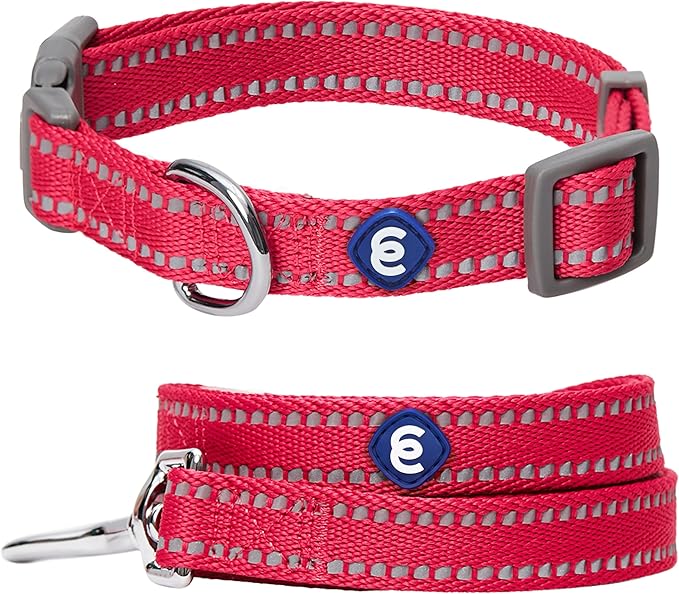 Blueberry Pet Essentials Reflective Dog Collar & Leash Set, Adjustable for Small Dogs | Safe Walking Gear for Pet Parents, Puppy Training & Daily Use SmallDogs, Very Berry