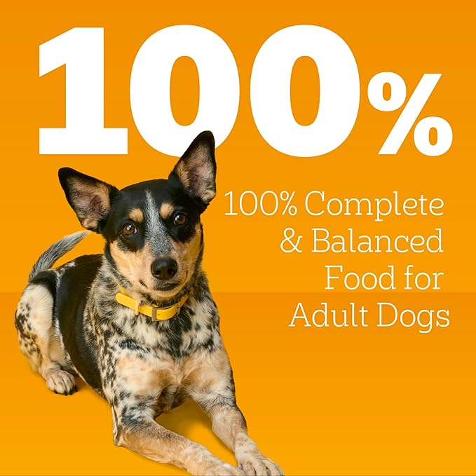 Pedigree Chopped Ground Dinner Weight Management Wet Dog Food,Canned Dog Food Chicken & Rice Dinner in Meaty Juices,13.2 oz. Cans,12 Count (Pack of 2)