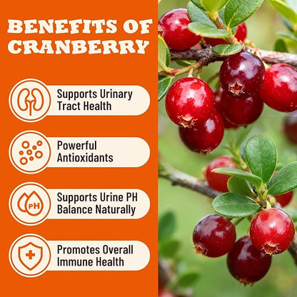 13.05 oz Urinary Tract CatTreats - Cranberry Cat Treats for UTI, KidneySupport, Bladder Control - Chicken &Cranberry Flavor, Crunchy Snacks for Kittens