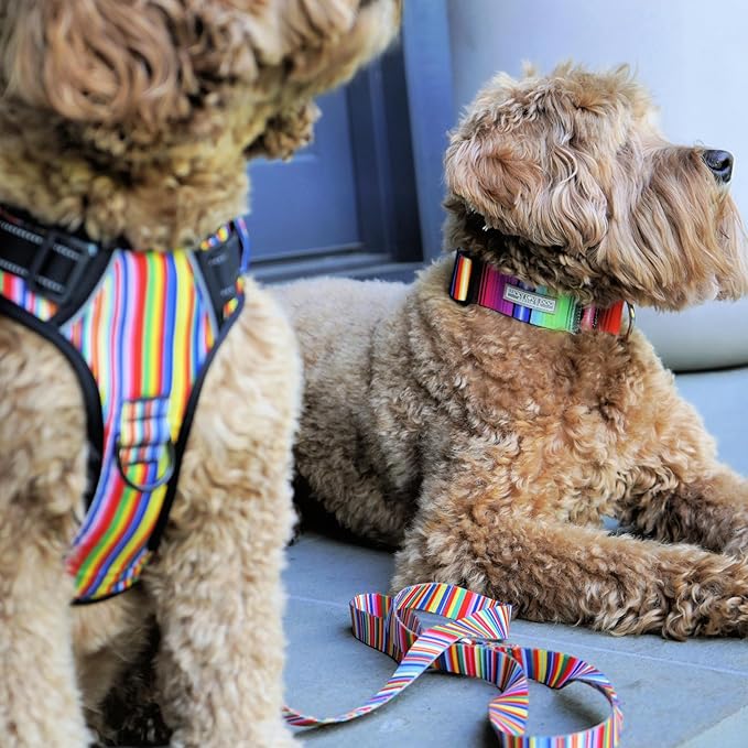 Lucky Love Dog No Pull Dog Harness, Adjustable and Easy to Walk, Cute Patterned Harness for Large Male & Female Dogs - Hippie, Large