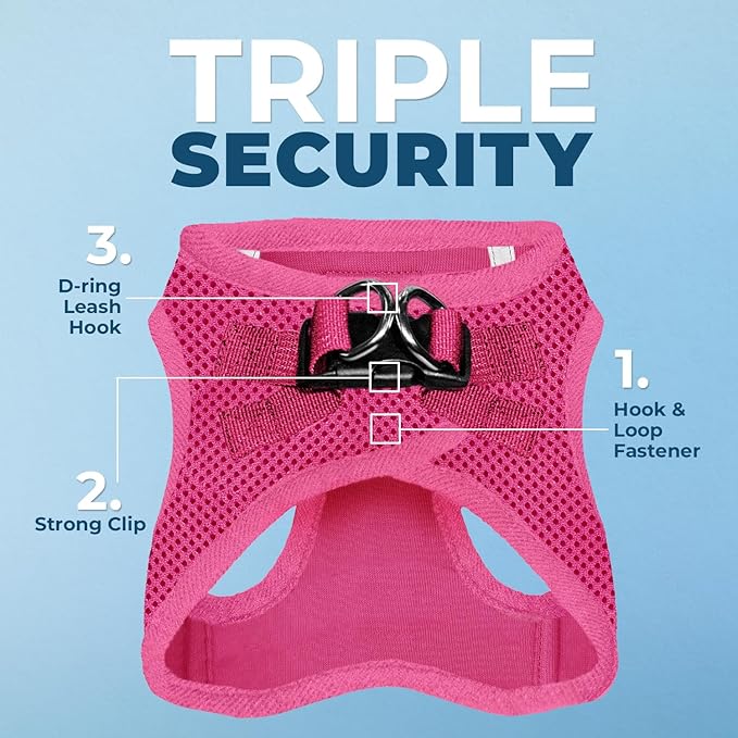 Best Pet Supplies Voyager Step-in Air All Weather Mesh Harness and Reflective Dog 5ft Leash Combo with Neoprene Handle, for Small, Medium and Large Breed Puppies - Set (Fuchsia), X-Large