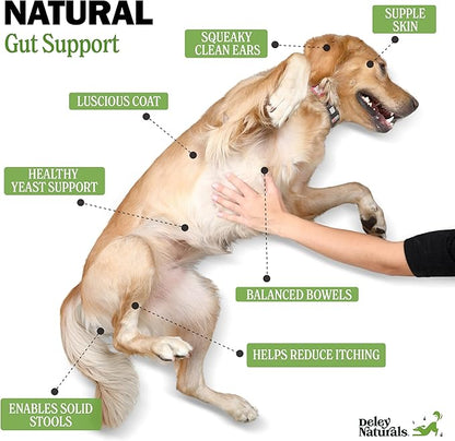 Deley Naturals Dog Probiotic Chews - 4 Billion CFU Probiotics for Dogs with Digestive Enzymes & Prebiotics - Grain Free Soft Chews for Gut Health & Digestive Support - 120 Chicken Chews Made in USA