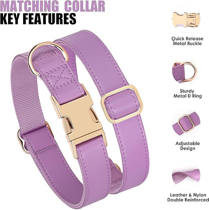 PET ARTIST Soft PU Leather Dog Collar and Leash Set, Bright & Stylish 5FT PU Leather Leash and Collar Set, Durable Pet Collars with Quick Release Metal Buckle for Large Dogs,Purple,L(16-27")