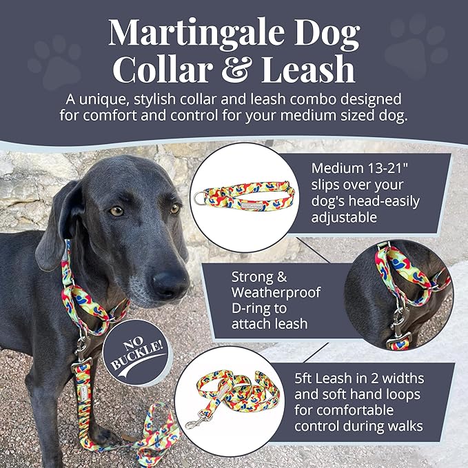 Lucky Love Dog Martingale Dog Collar & Leash - Adjustable, No-Slip, Durable, Comfortable, Soft Webbing, & Stylish Patterned Collar & Leash Set for Male and Female Dogs - Oscar Combo, Medium
