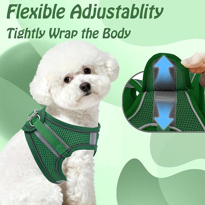 AIITLE Small Harness for Puppy with A Leash - Dog Vest Harness with Super Breathable Mesh, Reflective No-Pull Pet Harness for Outdoor Walking, Running for Small Dogs, Cats Green XXS