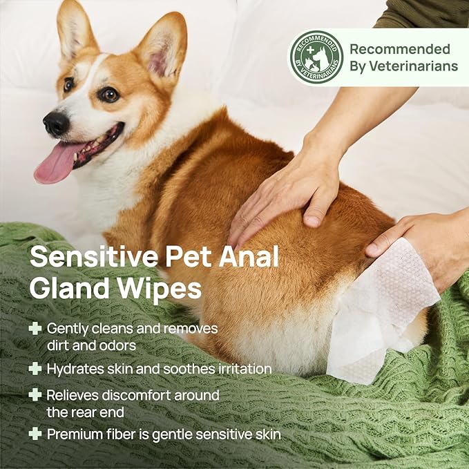 HICC PET Dog Wipes Cleansing Deodorizing, Nourishes Fur & Eliminates Odors, Pet Cat Cleaning Wipes for Paws and Butt - 75ct