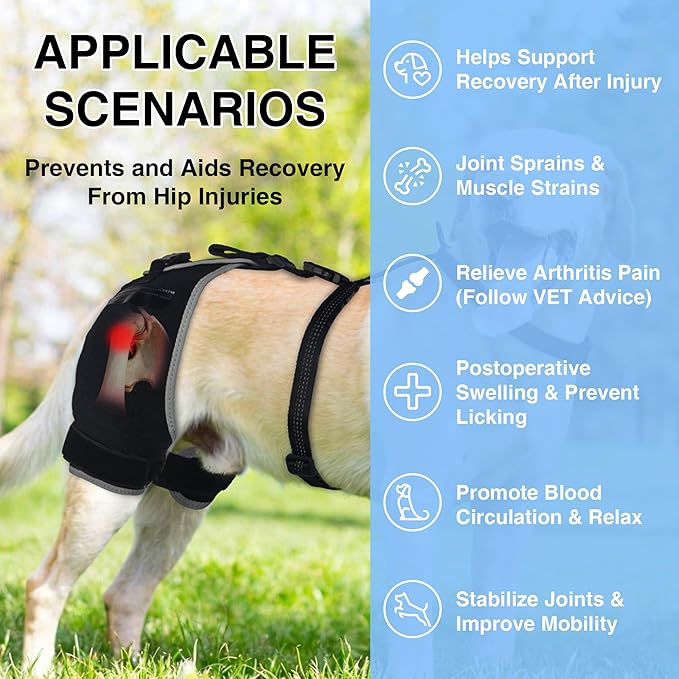 Dog Hip Brace with Removable Hot/Cold Pack for Hip Dysplasia & Mild Rear-Leg Instability, Breathable and Comfortable Support for ACL/Arthritis Recovery, Size M