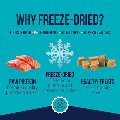 Stewart 100% Wild Salmon Dog Treats, 2.75 oz Tub, ~55 Pieces, Freeze Dried Raw, Single Ingredient, 65% Protein Training Treats or Meal Topper, Grain Free, Gluten Free
