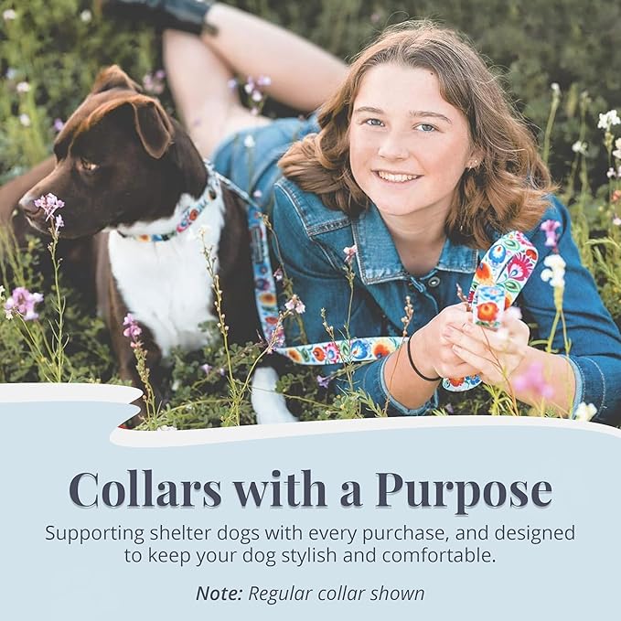 Lucky Love Dog Martingale Dog Collar - Adjustable, No-Slip, Durable, & Soft Webbing Collar for Male and Female Dogs Ideal for Training & Walking - Ladybird, Small