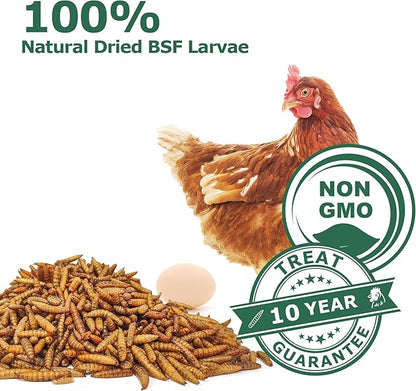 Dried Black Soldier Fly Larvae for Chickens - Non-GMO Poultry Feed Supplement, 85X More Calcium Than Mealworms,High-Protein Treats for Laying Hens & Ducks & Hedgehogs 1LB