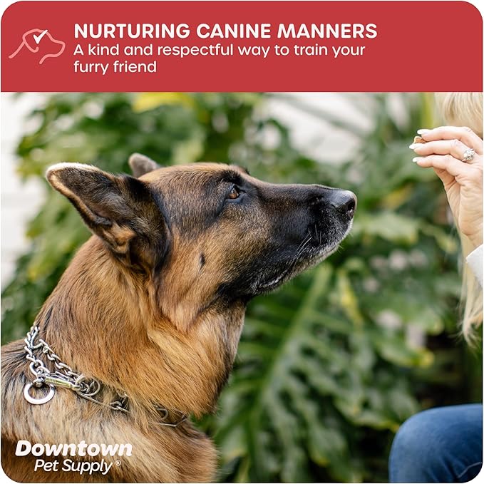 Downtown Pet Supply Chrome Plated Prong Collar for Dogs, Medium - Adjustable, No-Choke and No Pull Dog Collar with Removable Links - Pinch Collar for Dogs 20-40 lbs and 20" Neck Width