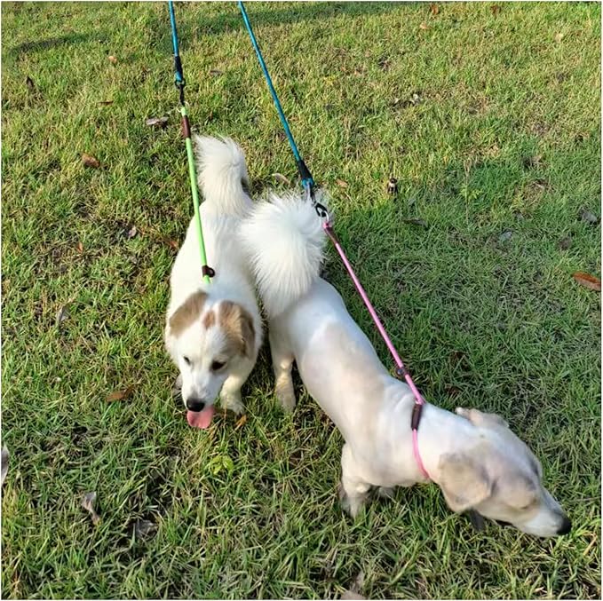 MayPaw Slip Collar Nylon Rope Adjustable Collar for Dog Training- No Pull Round Martingale Dog Collars for Small Medium Dogs (20" x 1/4", Green)