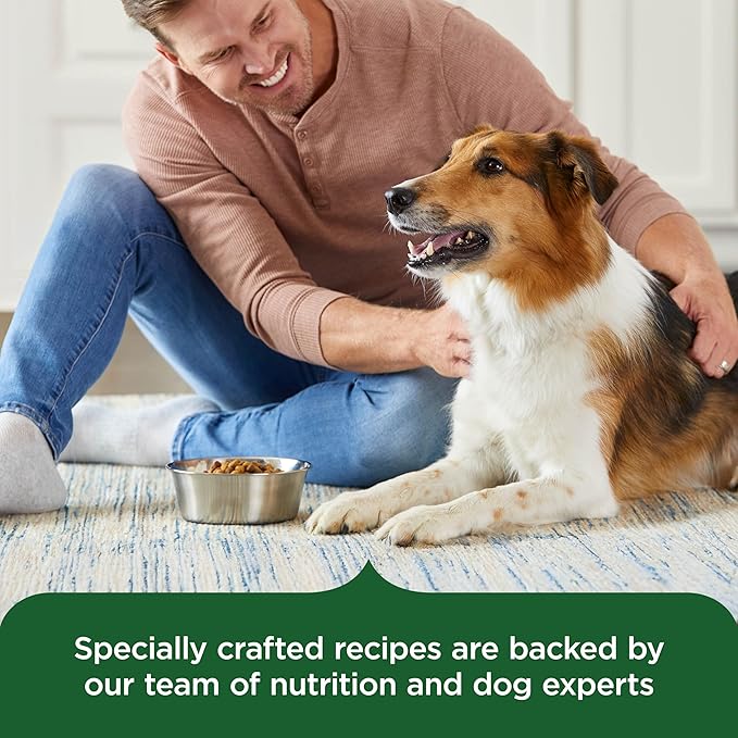 Nutrish Rachael Ray Adult Dry Dog Food Real Chicken & Veggies Recipe, 5 lb. Bag