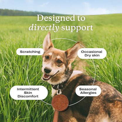 PetLab Co. Salmon Itch Relief Chew Pro for Dogs – Omega 3 for Dogs Itch Supplement - Packed with Beneficial Fatty Acids for Healthy Skin – Seasonal Allergies Support - Packaging May Vary