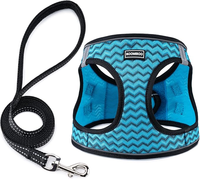 BOOMIBOO Dog Harness with Leash Set, No Pull Adjustable Reflective Step-in Puppy Pet Vest Harnesses for Small Medium Large Dogs and Cats,Blue Stripe M