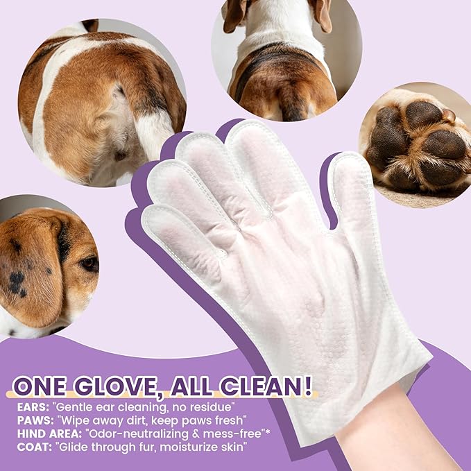 IMMHABI 100 Pcs Cleaning Deodorizing Pet Glove Wipes for Dogs & Cats, Hypoallergenic Dog Bath Wipes with Natural Deodorizer Persimmon Tannin, Pet Bathing Wipes for Horse Coat Care Lavender Scent