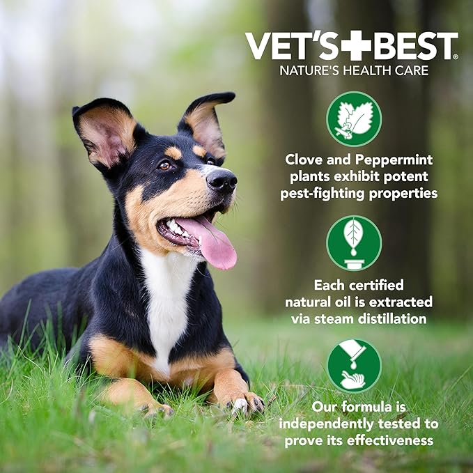 Vet’s Best Natural Flea and Tick Spray Shampoo for Dogs – Natural Plant-Based Formula with Certified Essential Oils – Anti-Flea and Tick Treatment with Itch Relief – Safe Pest Control – 16 oz Bottle