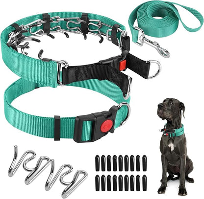 Prong Training Collar with Comfort Tips and Quick Release Snap Buckle - Classic Collar and Leash for Small to Large Dogs