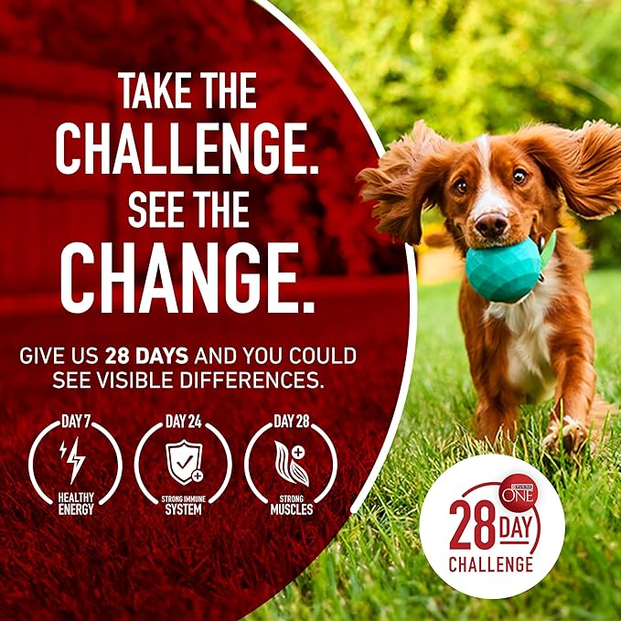 Purina One Small Breed Plus High-Protein Dog Food Lamb and Rice Formula Dry Dog Food - 15 lb. Bag