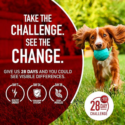 Purina One Small Breed Plus High-Protein Dog Food Lamb and Rice Formula Dry Dog Food - 7.4 lb. Bag
