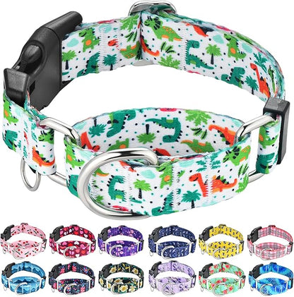 Martingale Dog Collars with Buckle No Pull Training Dog Collar for Medium Dogs (Green Dinosaur, Medium)