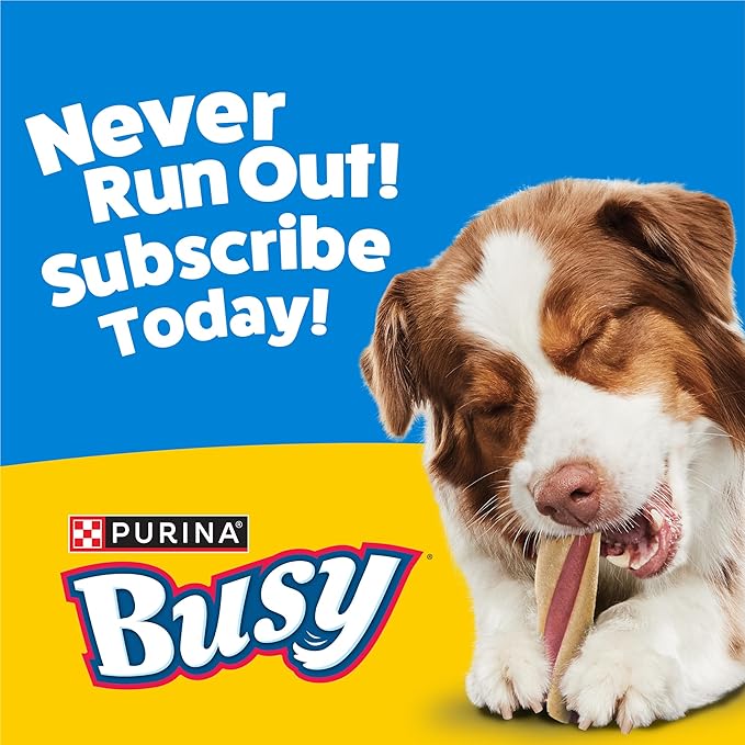 Purina Busy With Beggin' Dog Treats, Twist'd - 10 Count (Pack of 1)